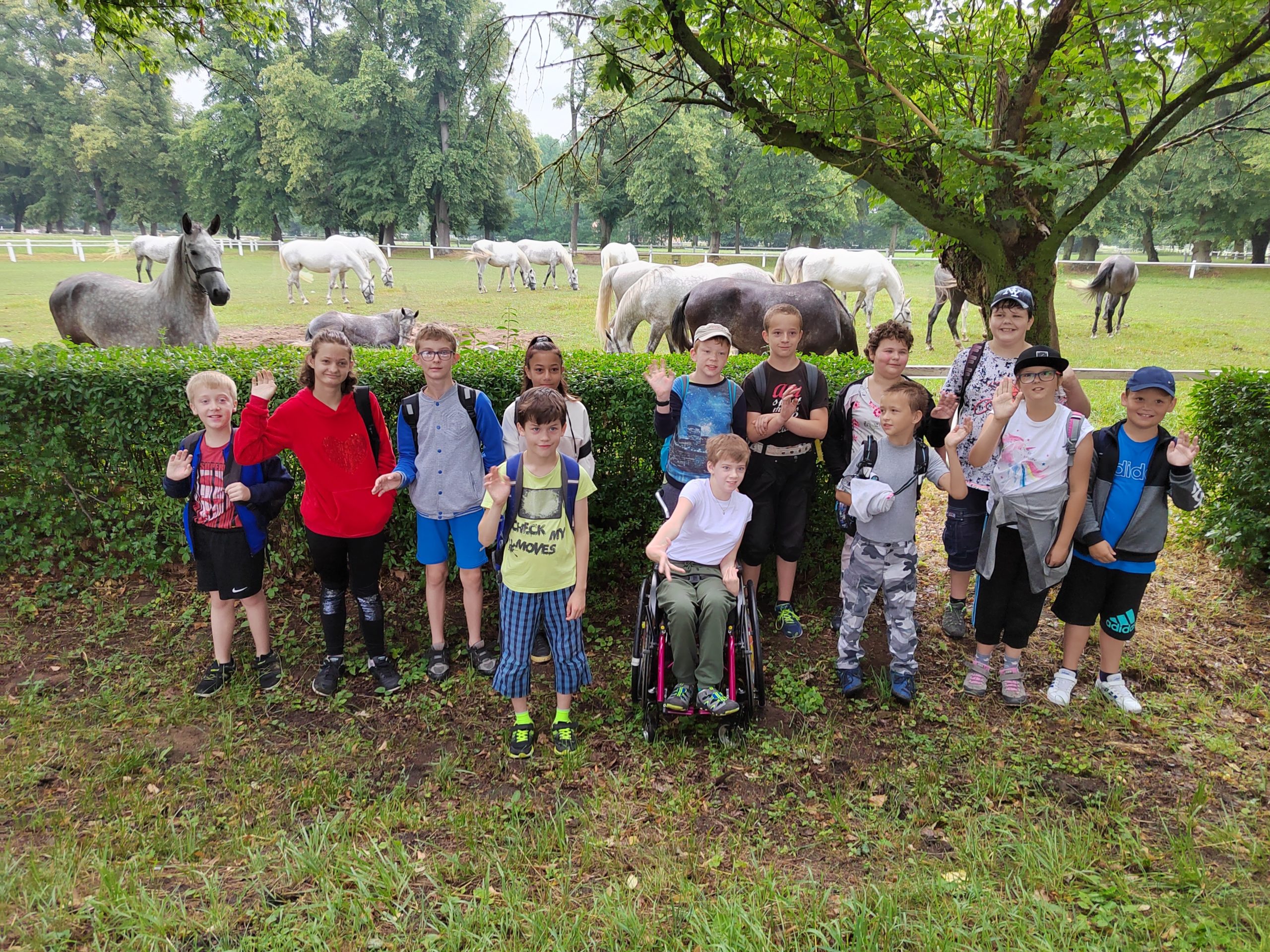 IMG_20220629_091139-01