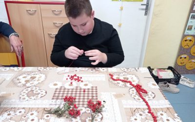 Korále z jeřabin