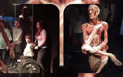 Body Worlds
