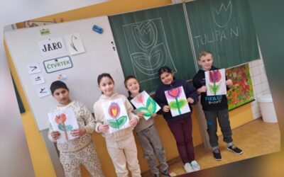 Tulipán