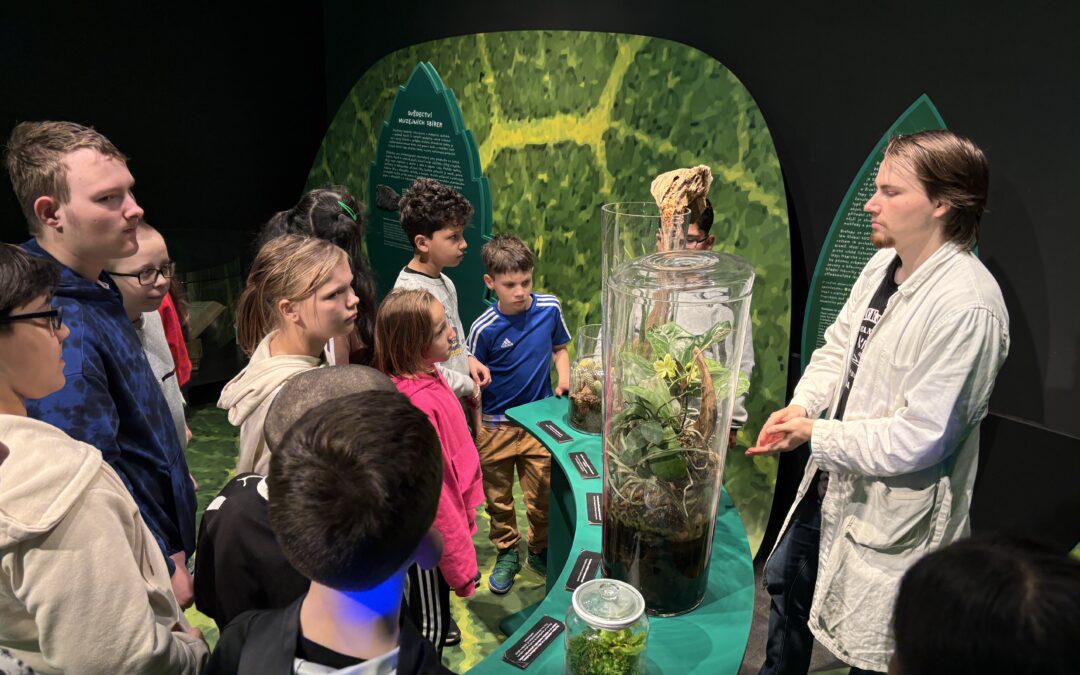 Zelená není jen tráva