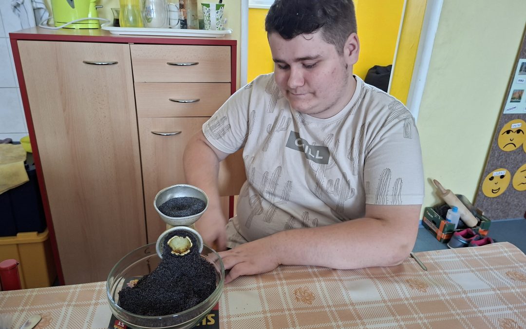 Meleme mák
