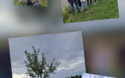 Cvičení v přírodě- 1.třída